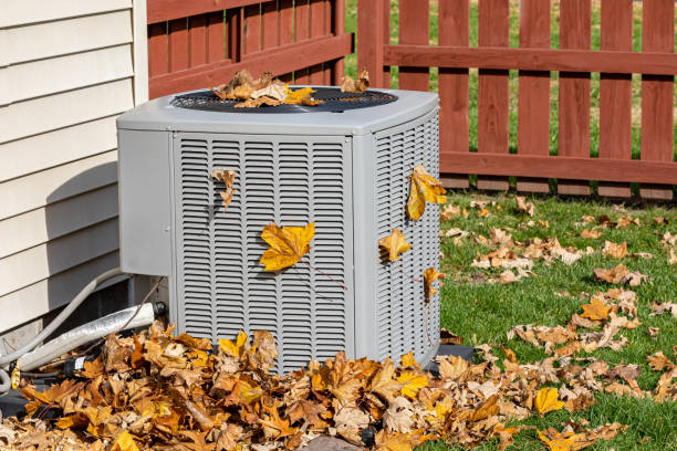 Best Residential HVAC services  in Cold Spring, MN